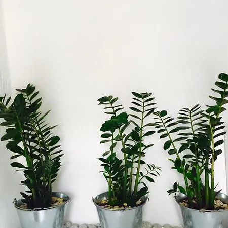 M For Mykonos * Mykonos Town